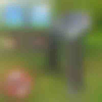 Solarni uređaj protiv nametnika | SOLGUARD