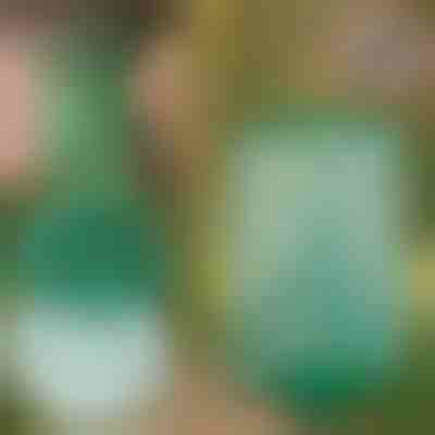 Višekratna viseća zamka za muhe i insekte | INSECTA