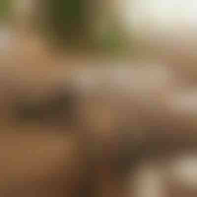 Magnetni samoljepljivi organizator kabela | CABLIP