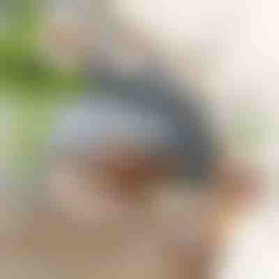 Interaktivna igračka ptica koja maše krilima | CHIRRCAT